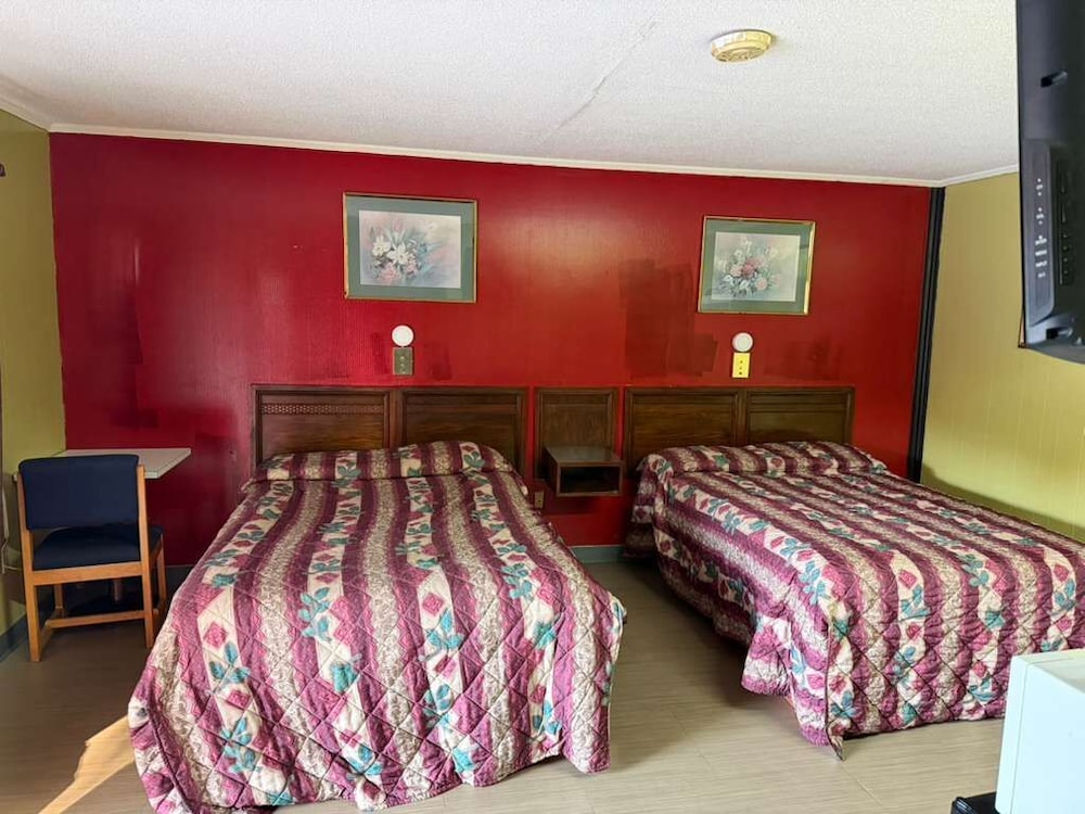 Single Room photo 1