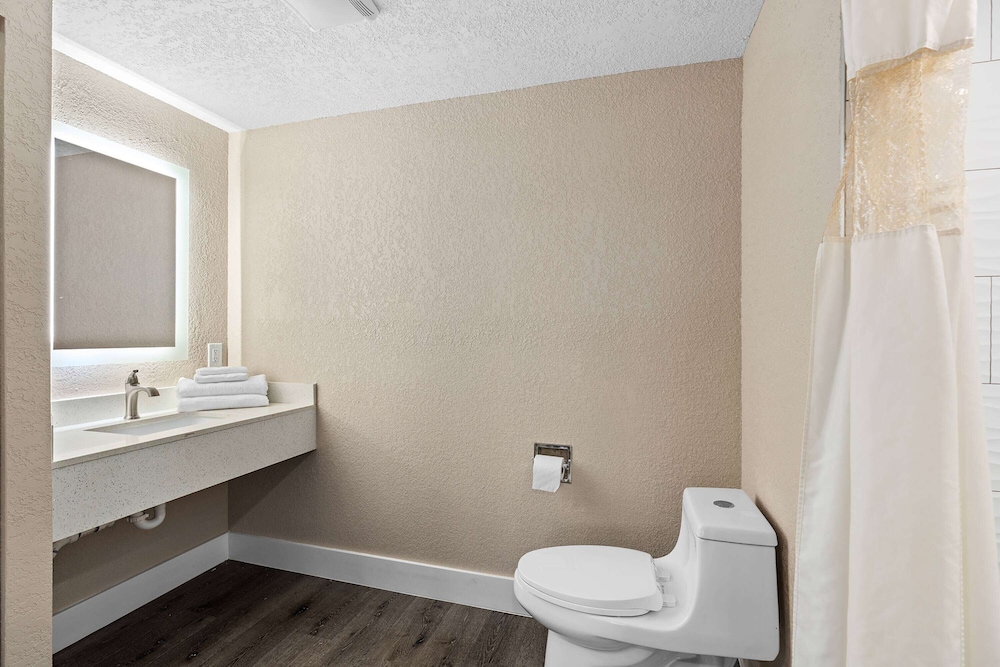 Room, 1 King Bed, Accessible, Non Smoking (Mobility, Hearing, Roll-In Shower) - Photo 5