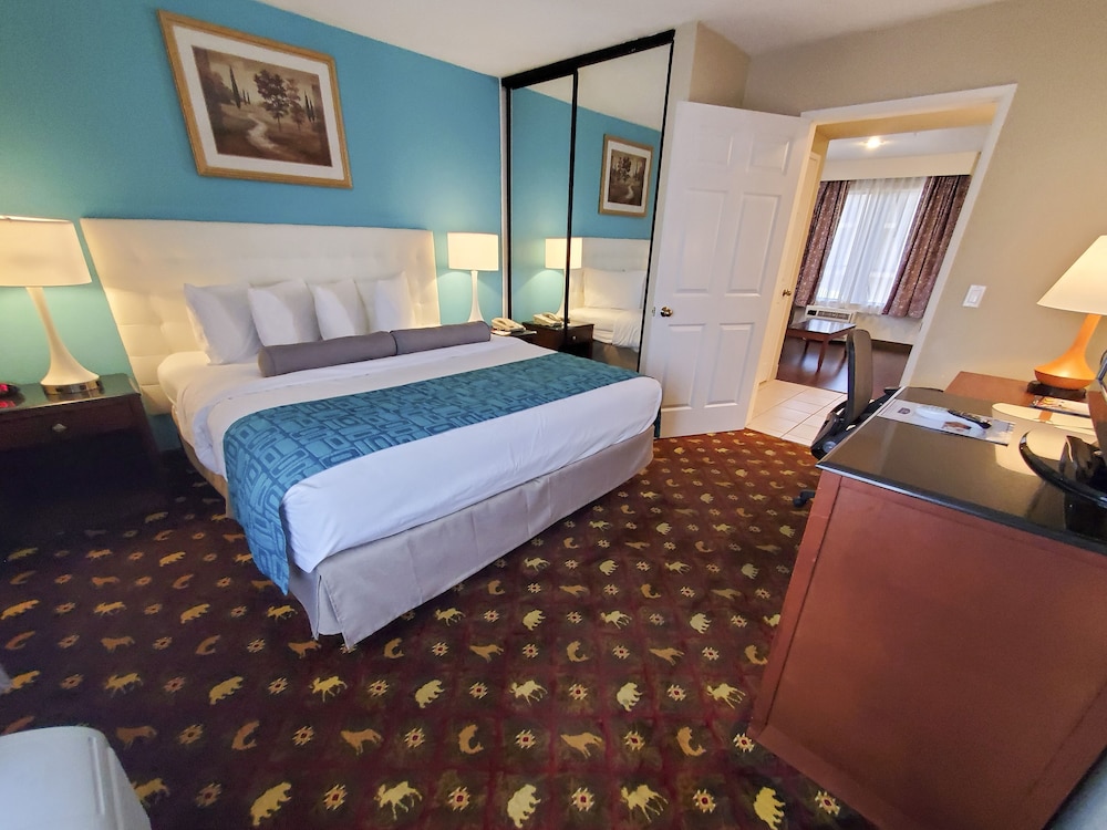 Suite, 1 King Bed, Non Smoking (One-Bedroom Suite) - Photo 4