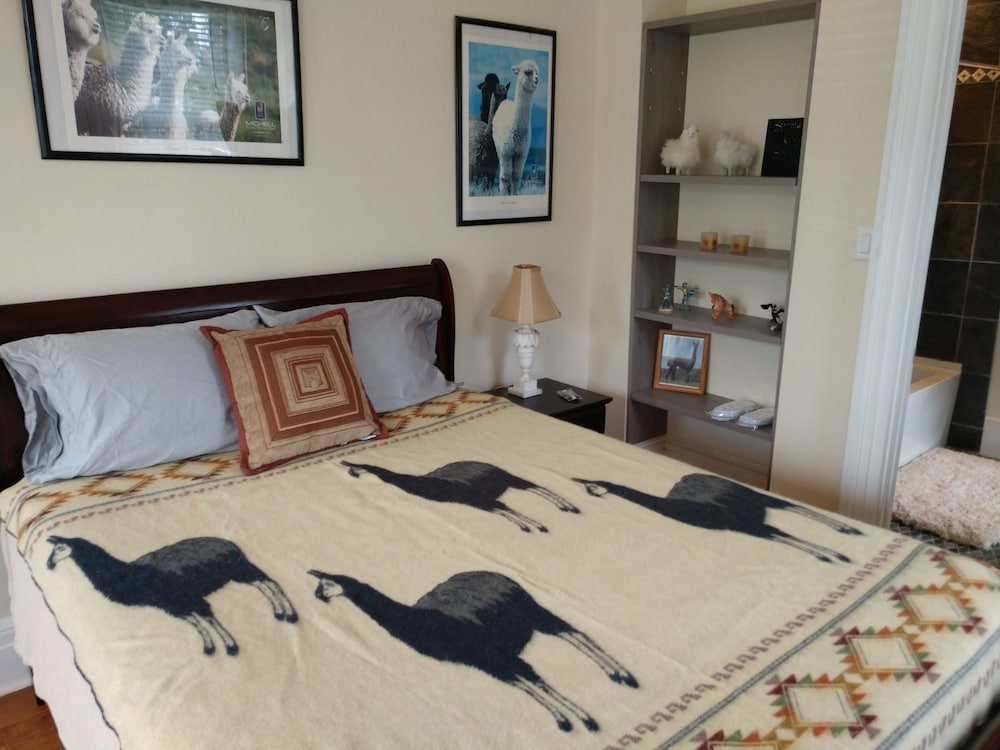 Room (Alpaca) photo 3