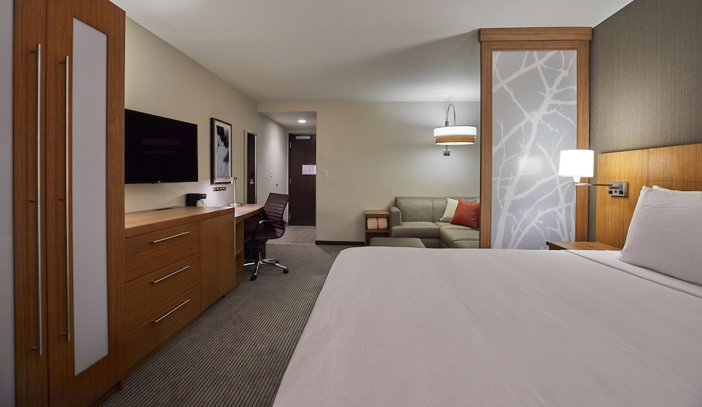 Room, 1 King Bed with Sofa bed, Accessible photo 3
