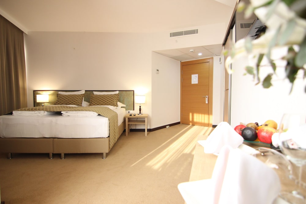Standard Double or Twin Room thumbnail 5