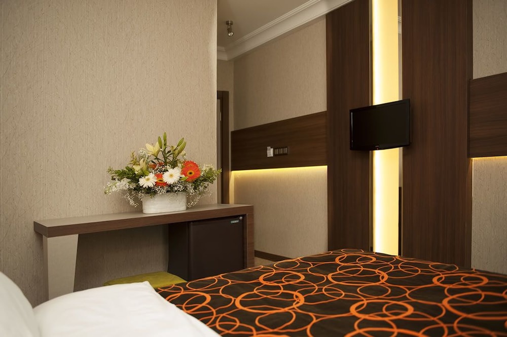 Standard Double or Twin Room photo 2