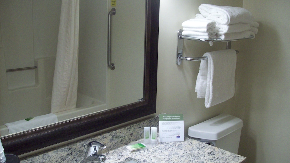 Studio Suite, 1 King Bed, Non Smoking, Lake View - Photo 7
