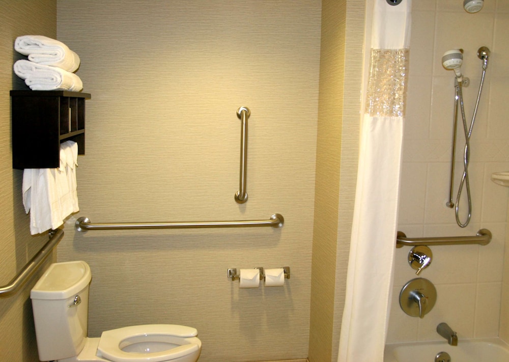 Basic Room, 1 King Bed, Accessible, Bathtub (Mobility & Hearing) - Photo 9