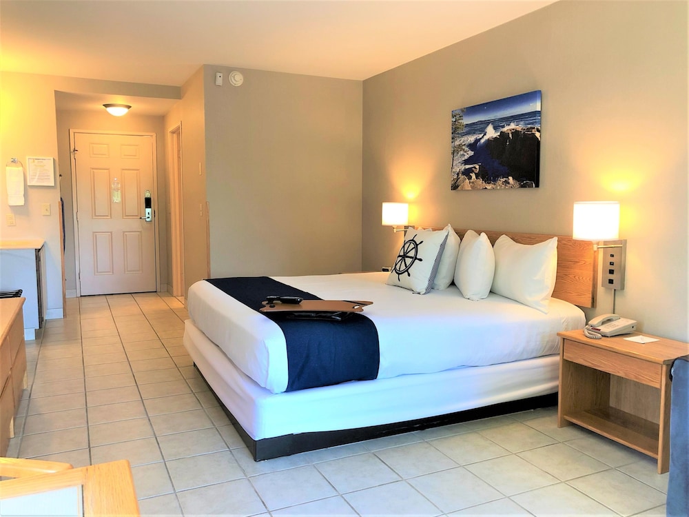 Pet Friendly Room, 1 King Bed with Sofa Bed, Balcony, Ocean View (1st Floor) photo 3