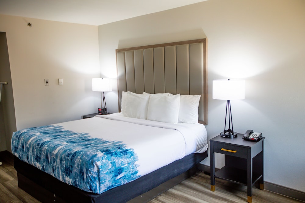 Room, 1 King Bed, Non Smoking - Photo 1