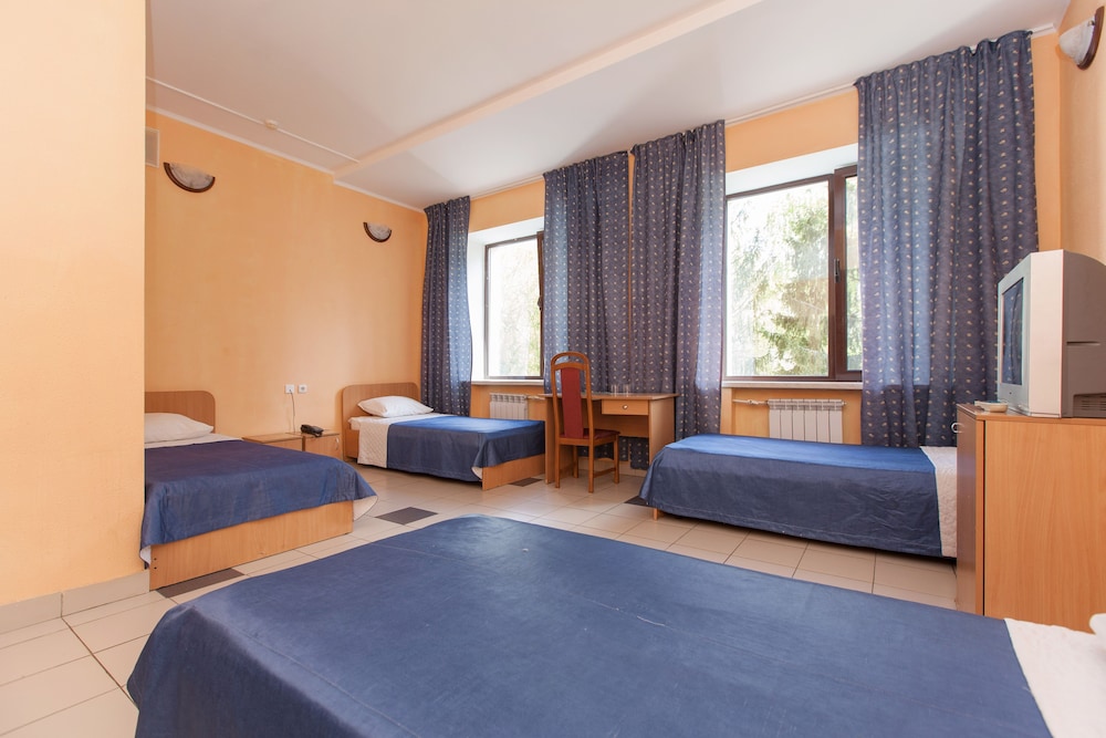 Standard Double or Twin Room photo 1