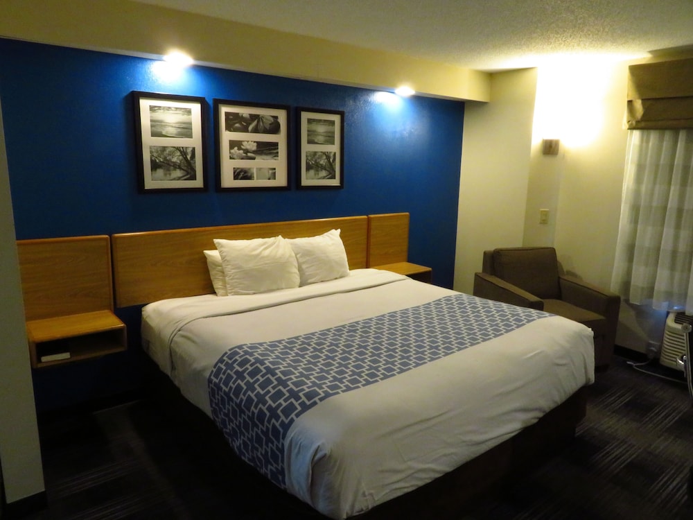 Standard Room, 1 King Bed, Non Smoking