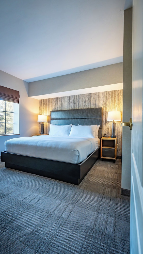 Executive Studio Suite, 1 Bedroom - Photo 2