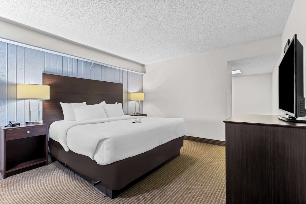 Family Suite, Multiple Beds, Non Smoking, Kitchenette (with Sofabed)