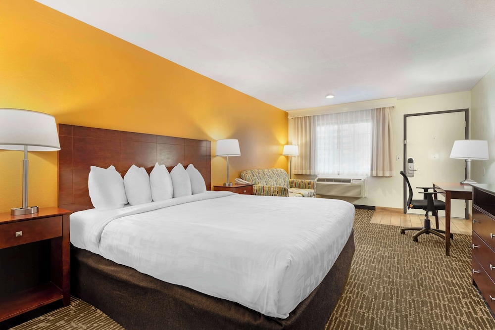 Standard Room, 1 King Bed, Accessible, Refrigerator & Microwave (With Single Sofabed) photo 3