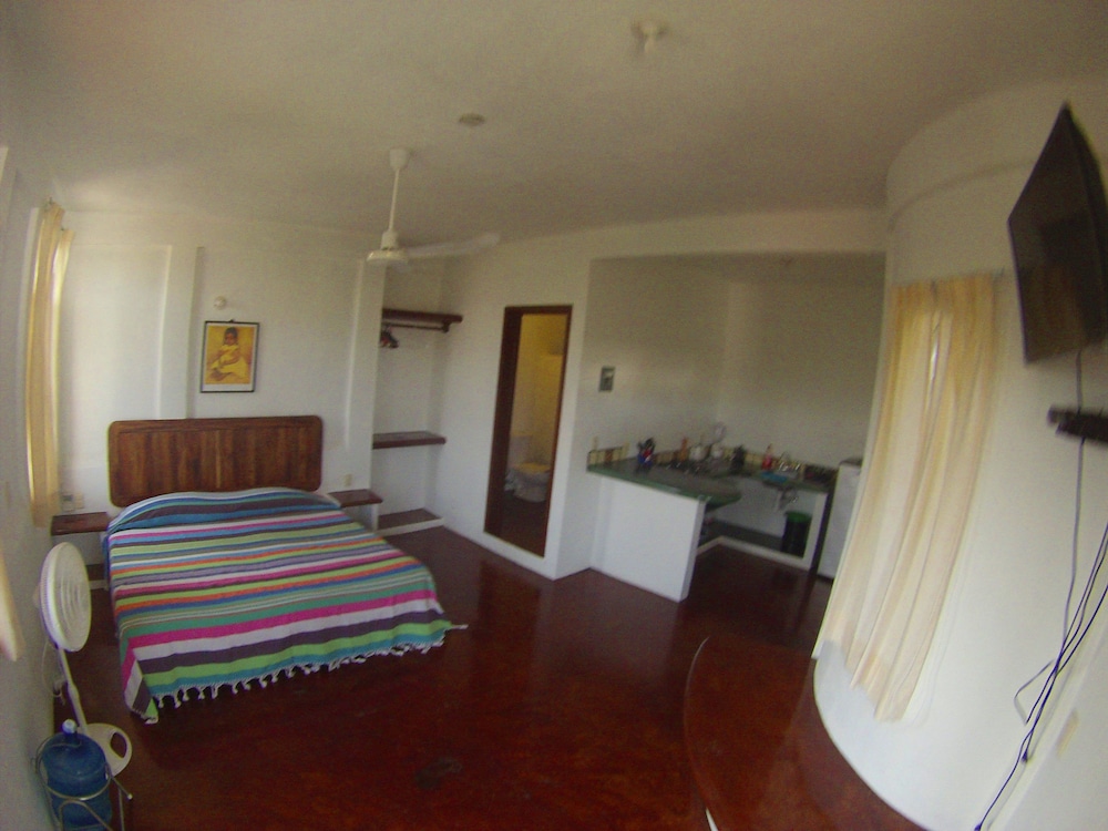 Basic Studio Suite, Kitchenette photo 1
