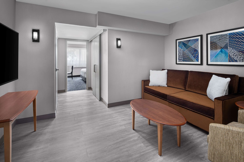 Junior Room, 1 King Bed with Sofa bed photo 1