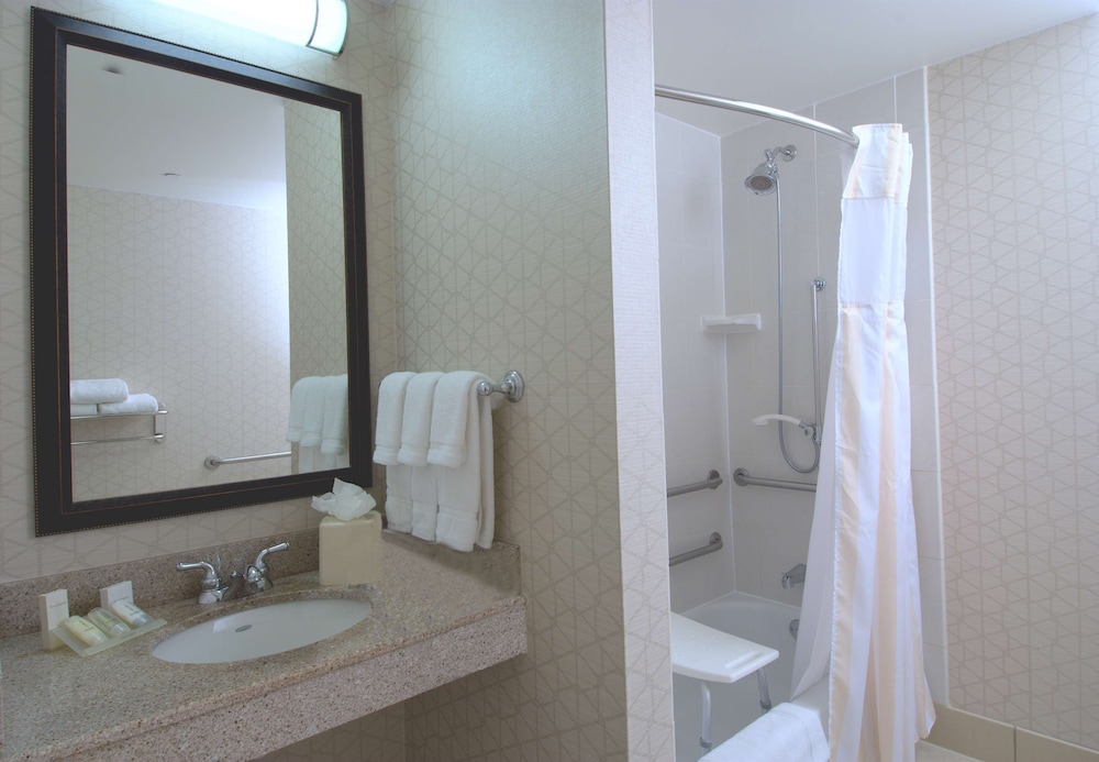 Suite, 1 King Bed, Accessible - Photo 5