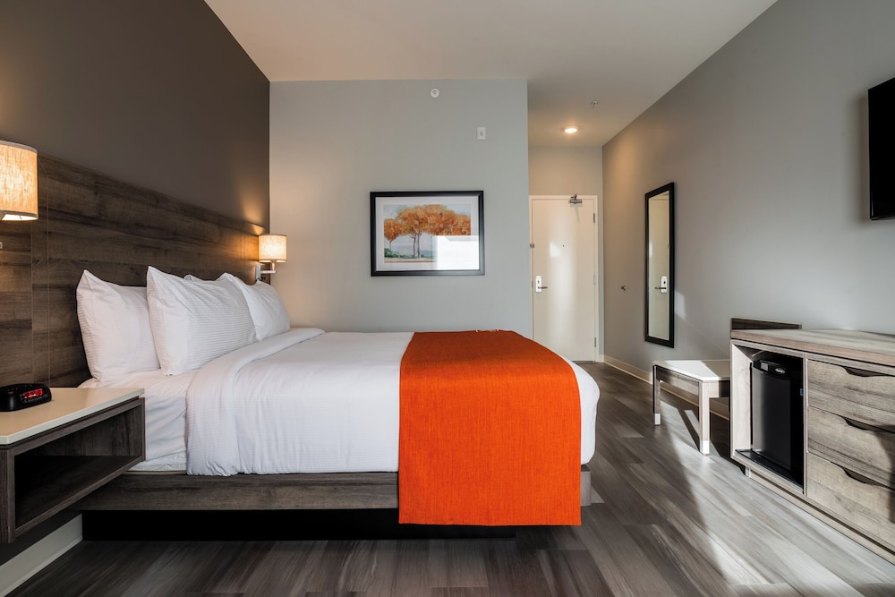 Standard Room, 1 King Bed, Non Smoking (Pet-Friendly) photo 2