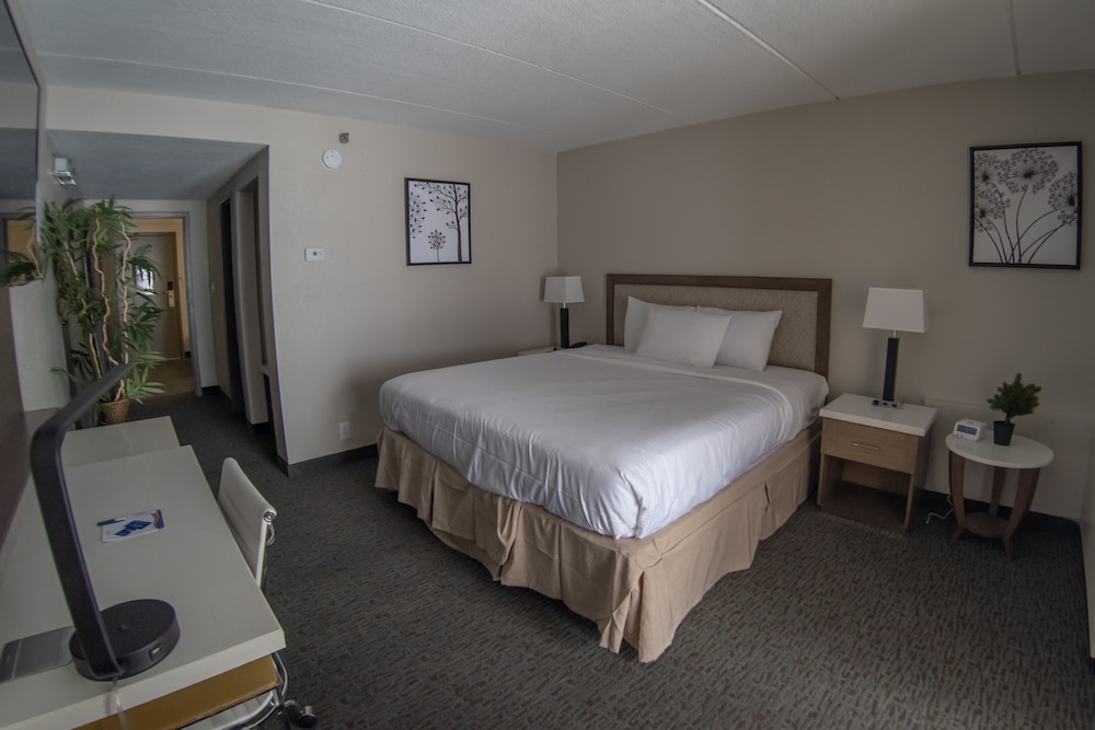 Room, 1 Queen Bed, Accessible, Non Smoking (Pet Friendly) - Photo 2