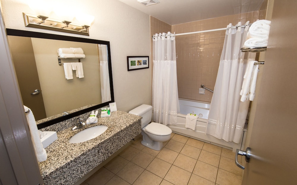 Suite, 1 King Bed, Non Smoking, Jetted Tub (with Sofabed) - Photo 4