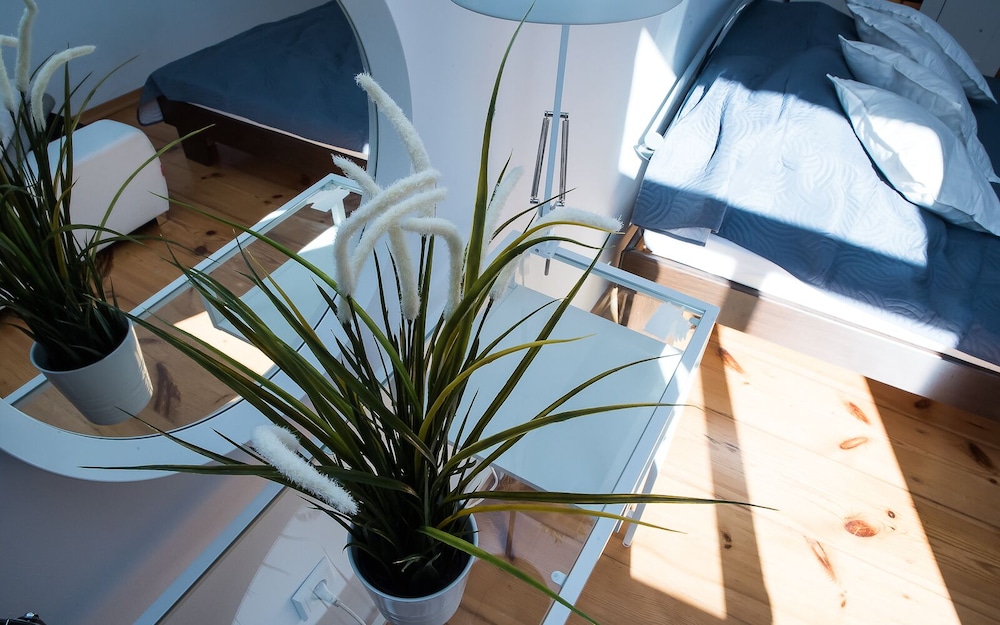 Comfort Apartment photo 2