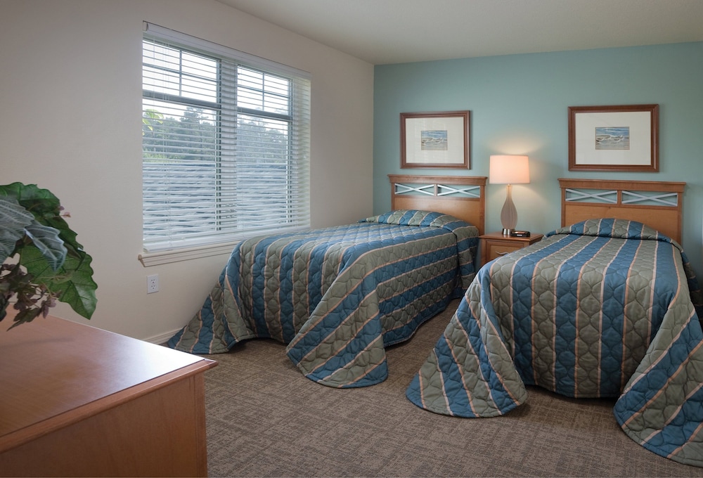 Standard Condo, 2 Bedrooms, Kitchen photo 3