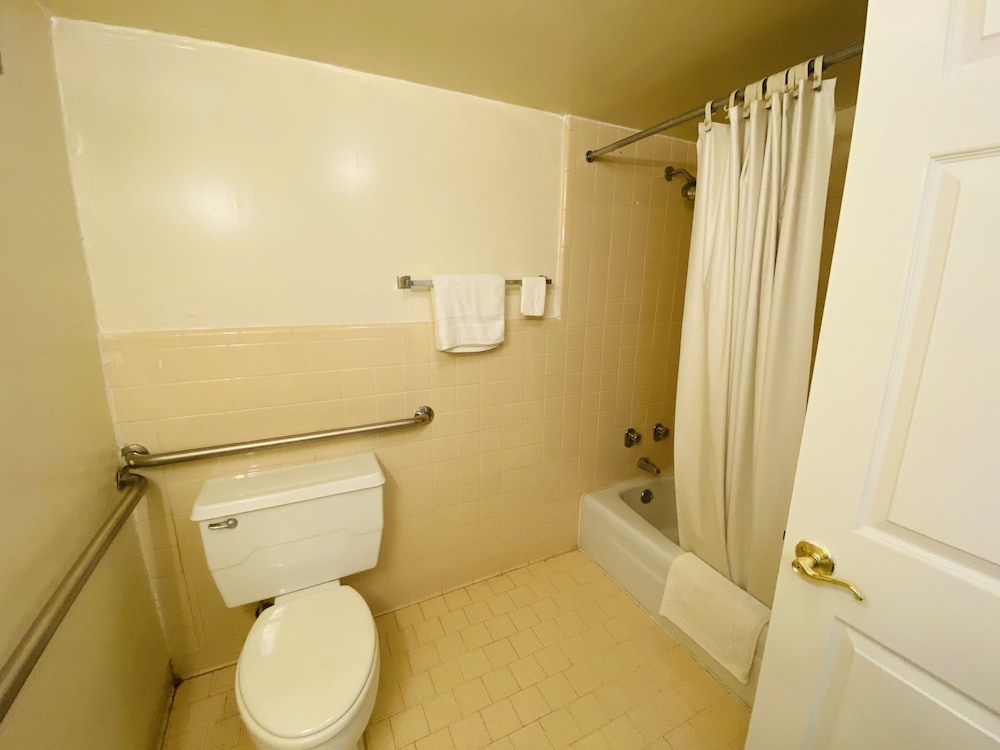 Room, 1 King Bed, Accessible photo 3