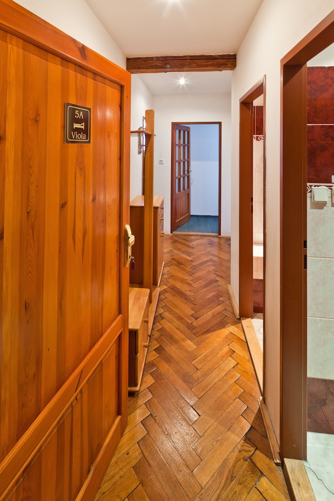 Apartment (Viola) photo 2