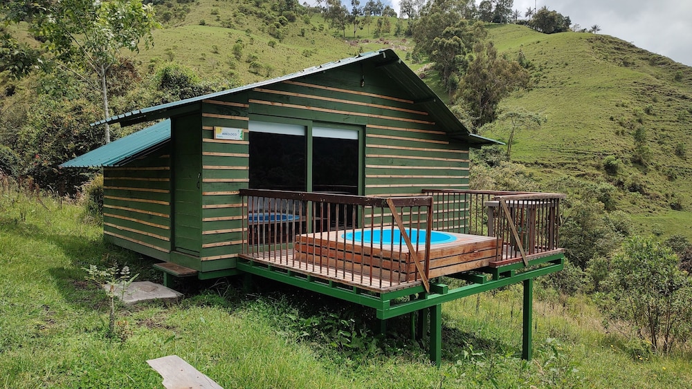 Deluxe Cabin, 1 King Bed, Private Pool, Mountain View photo 1
