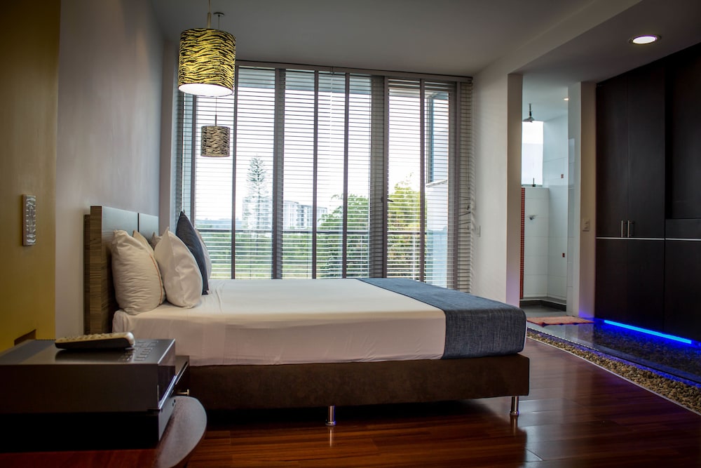Loft, 1 King Bed photo 1