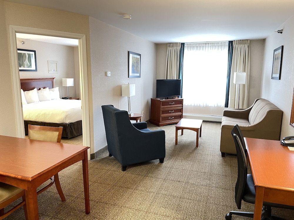 Suite, 1 King Bed with Sofa bed, Non Smoking photo 3