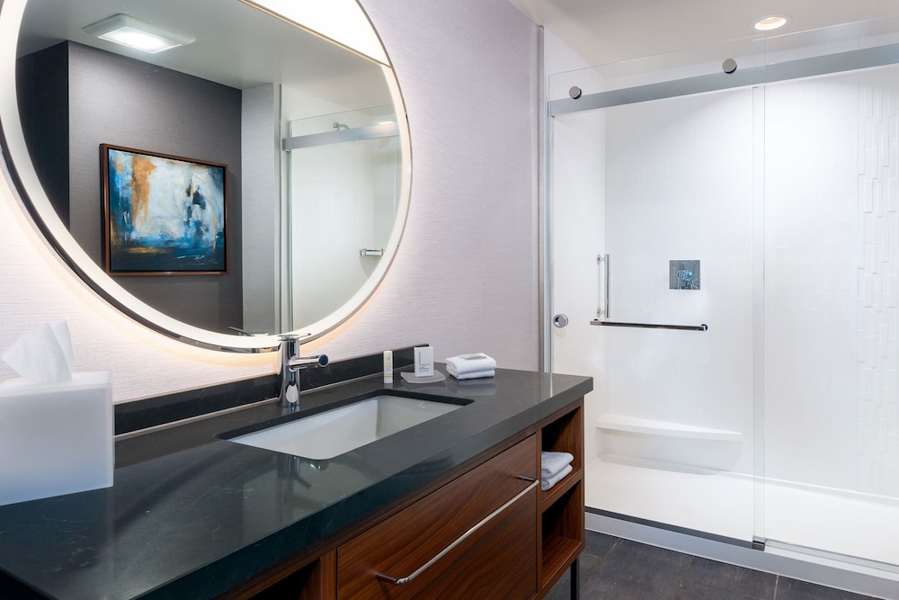 Standard Room, 1 King Bed with Sofa bed (Mobility Accessible, Roll-In Shower)