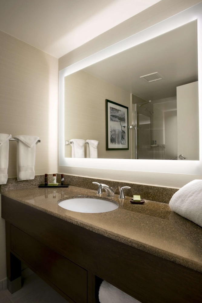 Suite, 1 King Bed, Accessible (Mobility & Hearing, Roll-in Shower) - Photo 3