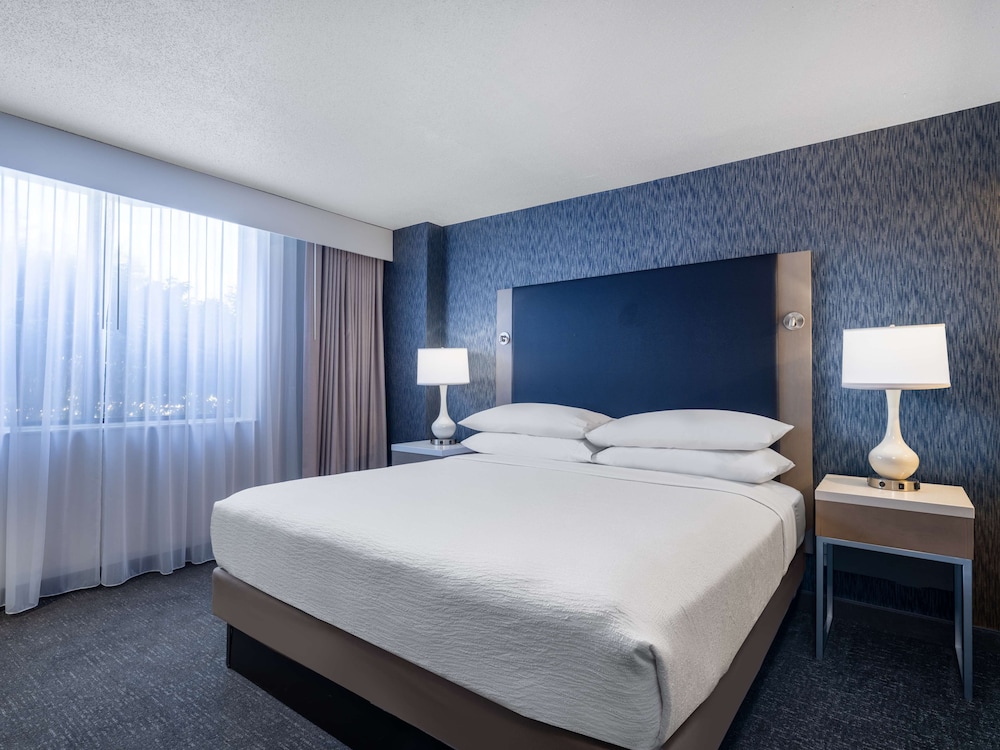 Suite, 1 King Bed, Accessible - Photo 3