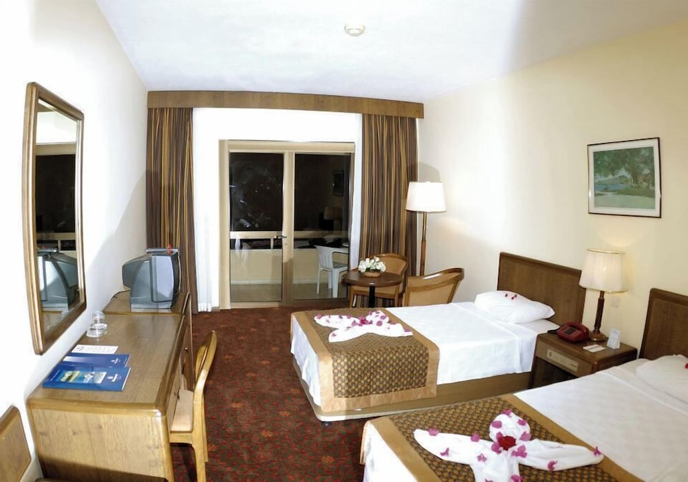 Standard Room, Mountain View