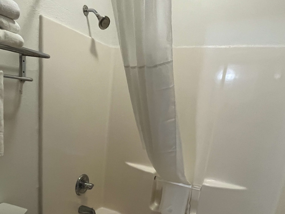 Standard Suite, Multiple Beds, Non Smoking, Refrigerator & Microwave - Photo 9