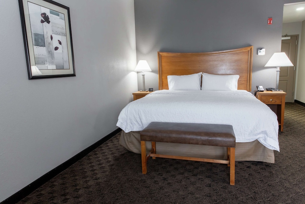 Studio Suite, 1 King Bed with Sofa bed - Photo 1