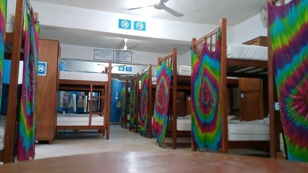 Basic Shared Dormitory, Mixed Dorm, Shared Bathroom (price for 1 bed) photo 2