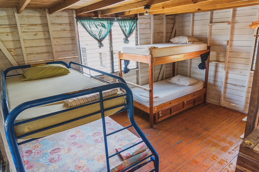 Shared Dormitory, Mixed Dorm
