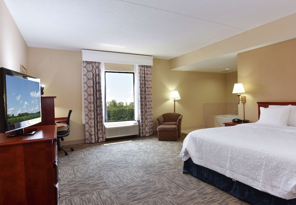 Room, 1 King Bed, Accessible - Photo 1