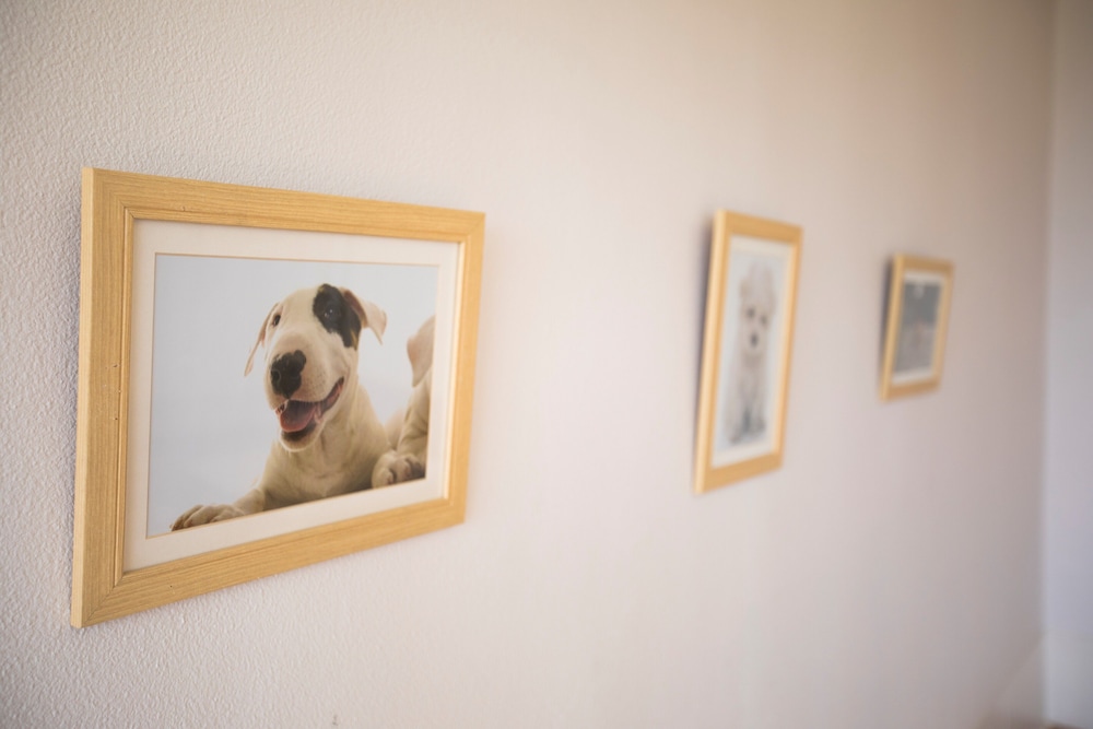 Pet Room, Smoking (Japanese Style, 2nd Floor, 10 Jo, With View Bath) photo 3