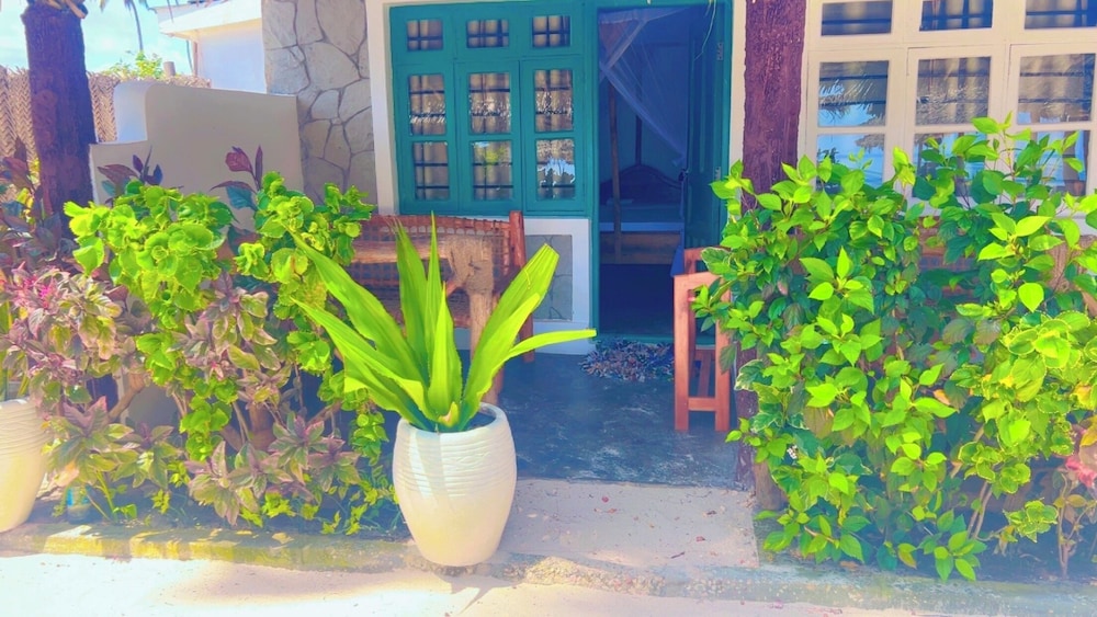 Standard Single Room, Balcony, Courtyard View photo 1