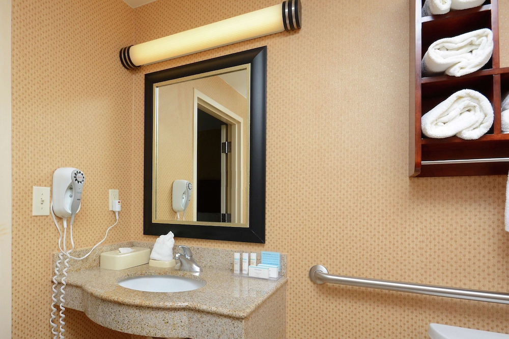 Studio, 1 King Bed, Accessible (Mobility & Hearing, Roll-in Shower) - Photo 6