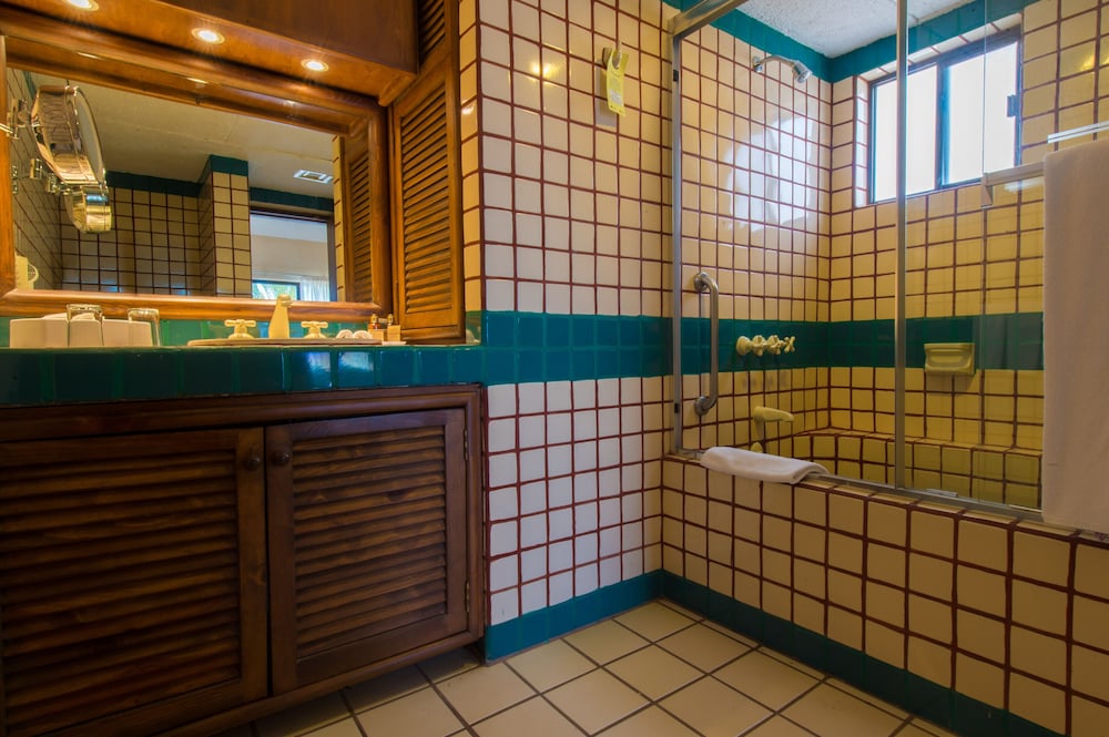 Studio, 1 King Bed With Sofa Bed