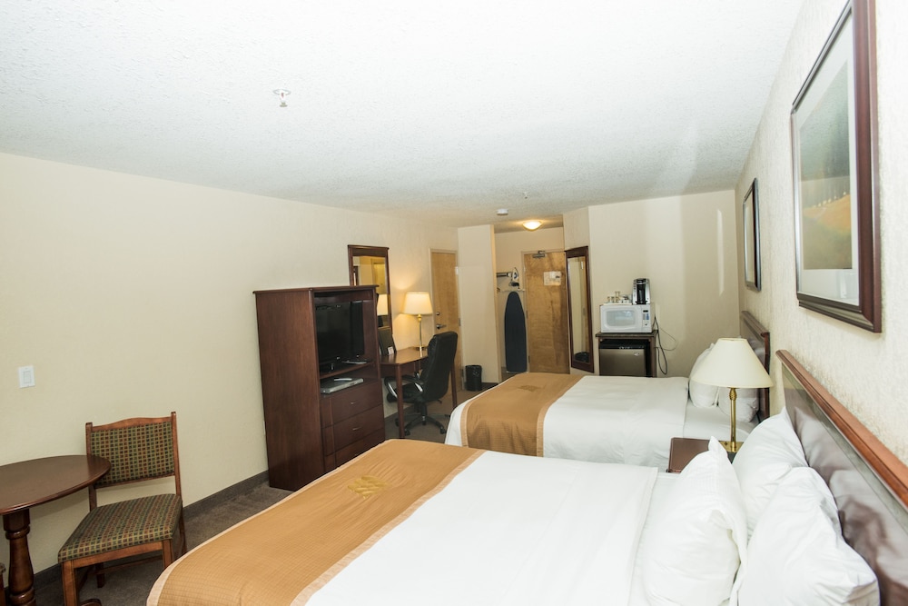 Superior Double Room Single Use, 2 Queen Beds photo 2