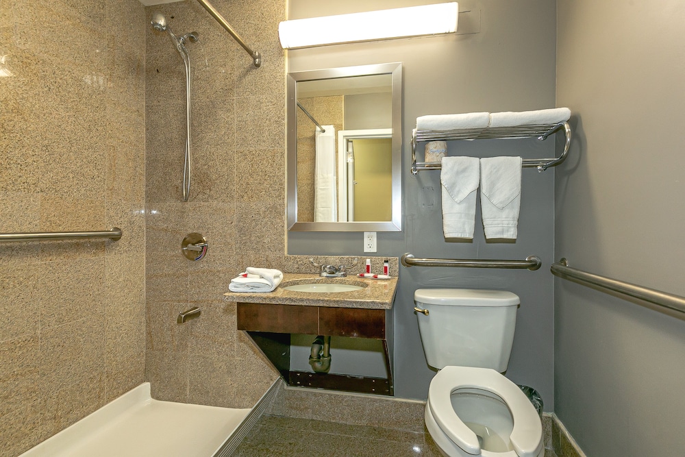 Standard Studio Suite, 1 King Bed with Sofa bed, Accessible photo 2