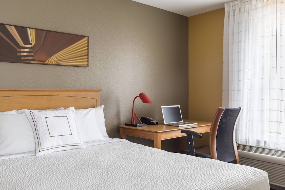 Suite, 1 Bedroom - Photo 5