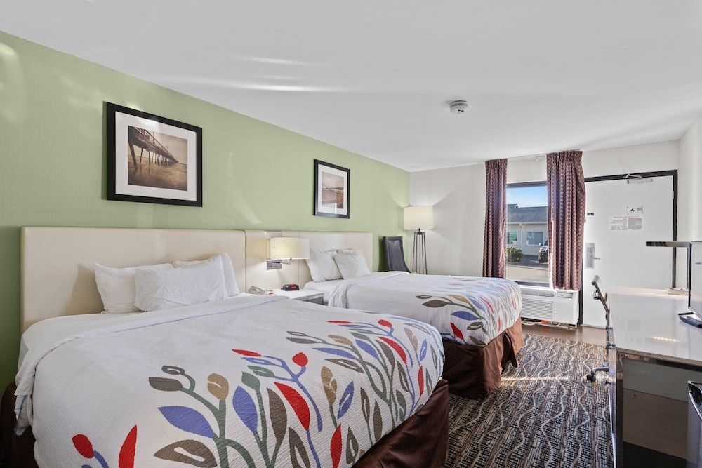 Queen Beds Pet Friendly photo 3
