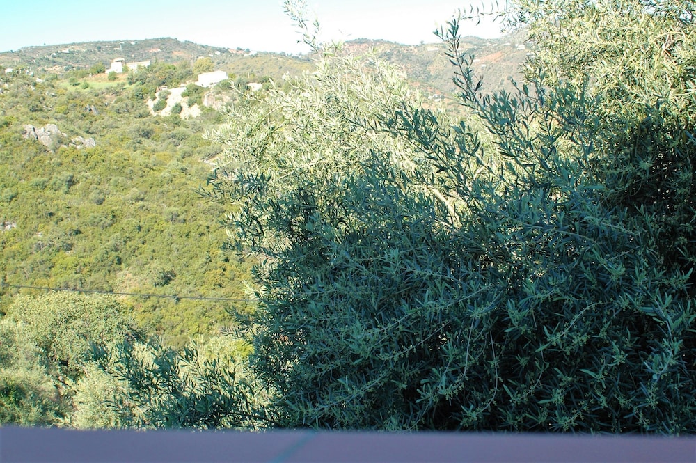 Standard Room (Maitreya) photo 3