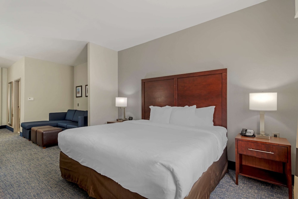 Comfort Suites Stockbridge Atlanta South, Fotografia 4