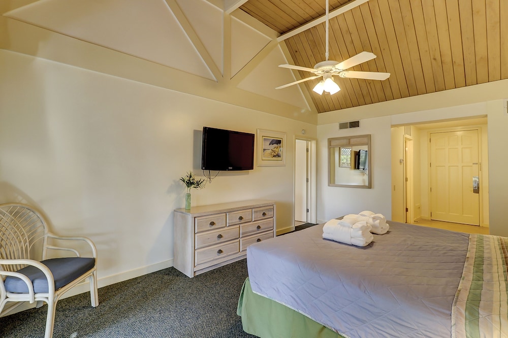 Basic Villa photo 3