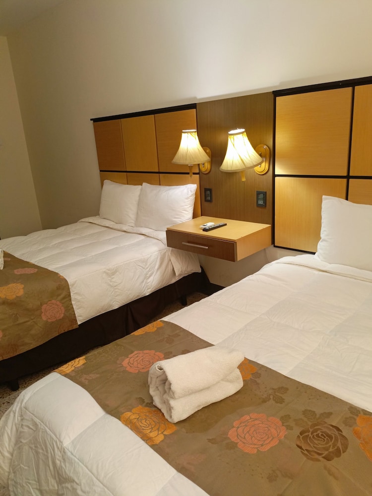 Comfort Double Room photo 1